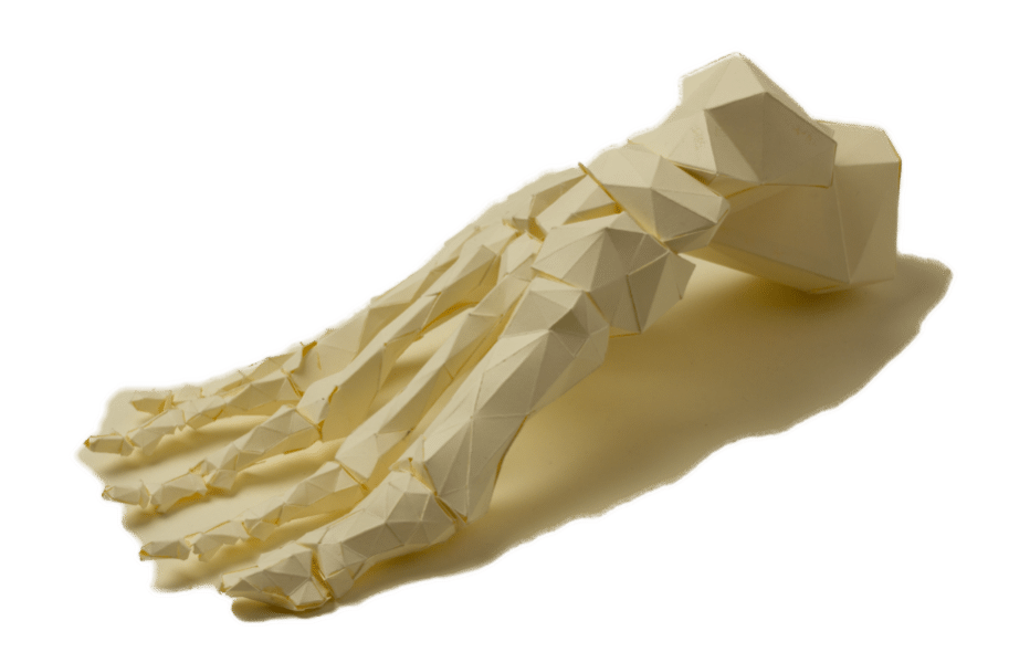 Pie - Cursos de Osteopatia | EMPO BARCELONA ESCUELA