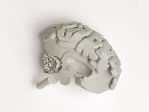 cerebro_BLANCO.jpg