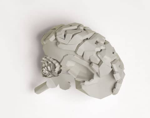 Seminario 04: Hueso por hueso: Temporales