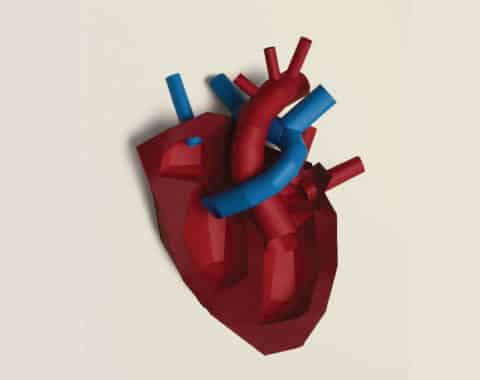 Seminario 3: Órgano a órgano, corazón “la bomba”