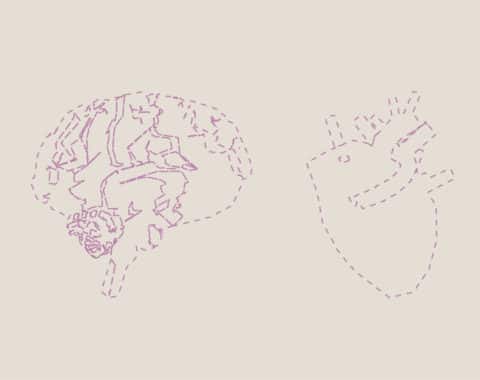 1r MÓDULO BIODESCODIFICACIÓN & PSICO/OSTEOPATÍA